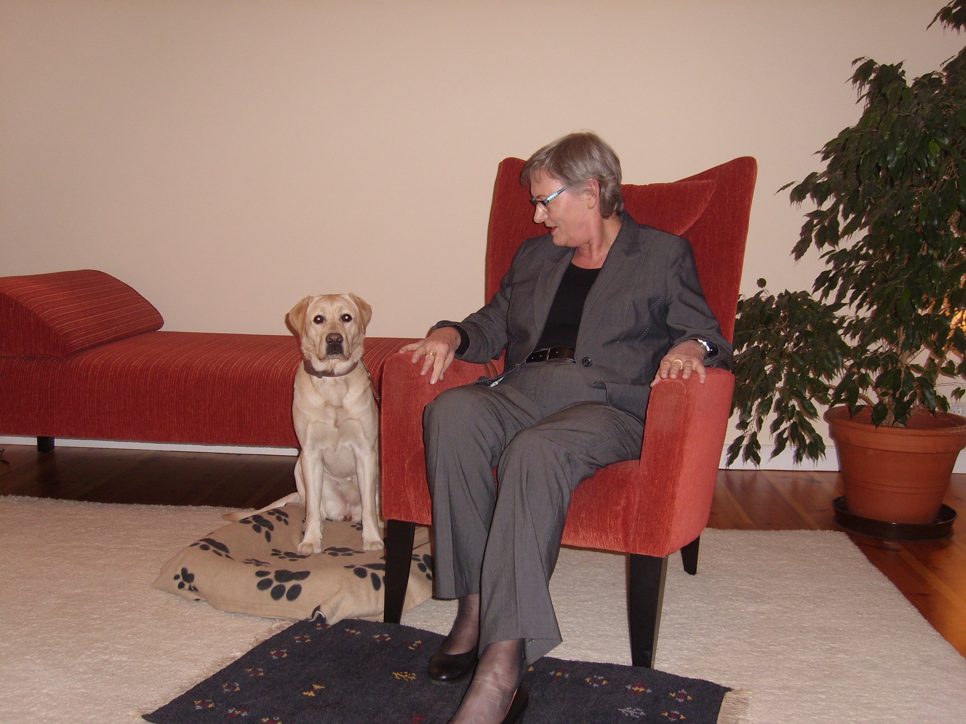 Tiergestützte Psychotherapie: Co-Therapeutin auf vier Pfoten